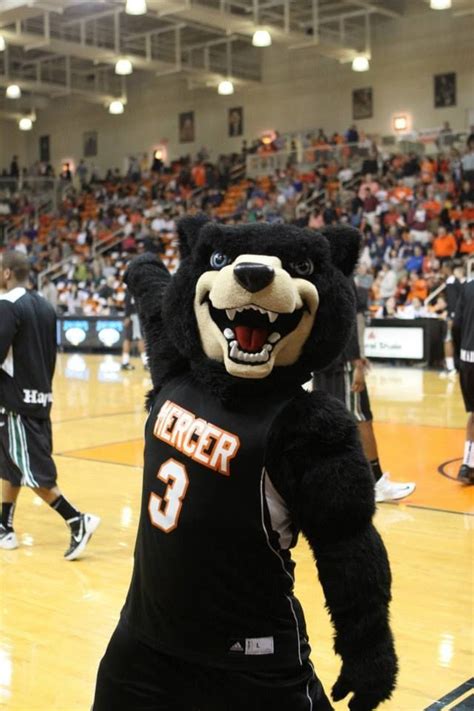 Mercer universitu mascot